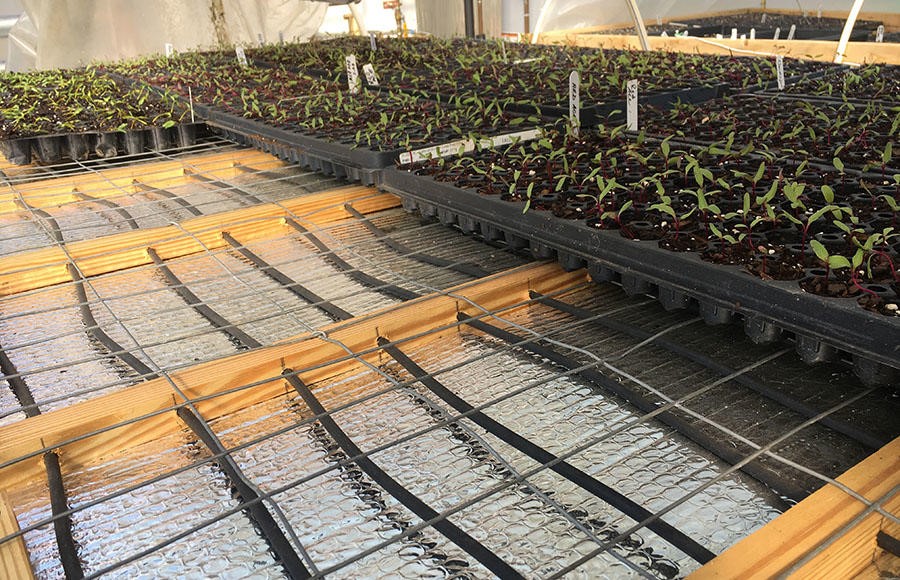 Sisteme de încălzire profesionale pentru agricultură – cultivare la sol – Thermostahl